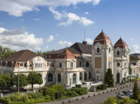 シュタイゲンベルガー  ホテル バート ノイエナーア