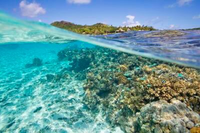 ホテル周辺 パシフィック リゾート アイツタキの写真