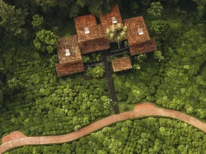 One&Only Nyungwe House