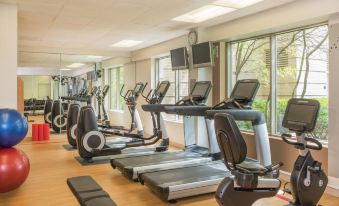 a well - equipped gym with various exercise equipment , including treadmills and weight machines , arranged neatly in a room with large windows at Sheraton Suites Chicago Elk Grove