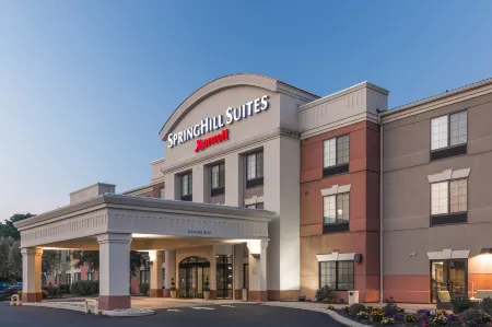 SpringHill Suites Quakertown Отели в г. Квакертаун