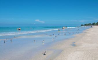 Tropic Isle at Anna Maria Island Inn