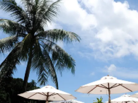 停泊島布布度假村 停泊島酒店