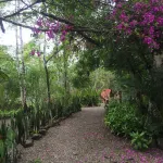 Samai Lodge Holistic Living Hotel di 