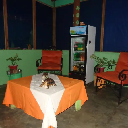 Cabinas Tortuguero Natural