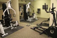 Gold Vault Inn - Gym