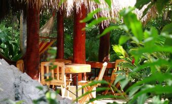 Zopango Orchids Island