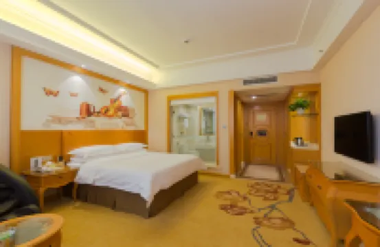Vienna International Hotel (Qinzhouwan Square Nongken) - 4-Star
