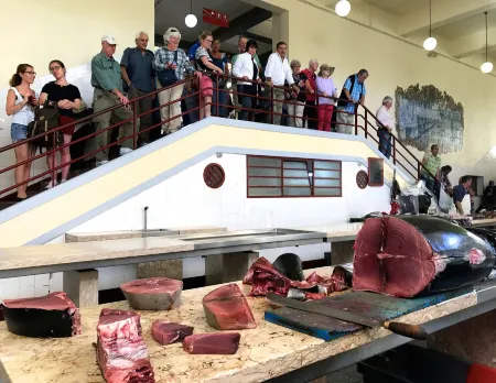 Vila Toca Отели рядом с достопримечательностью «Sacred Art Museum (Museu de Arte Sacra)»