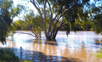 Warrego Hotel Motel Cunnamulla