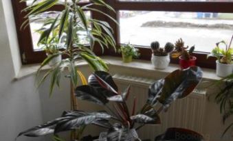 Hotel Weisse Elster