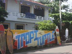 TropiTurtle Guesthouse