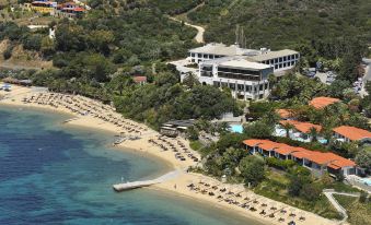aerial view of a hotel on the beach , surrounded by trees and overlooking the ocean at Eagles Palace