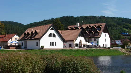 Hotel Vír