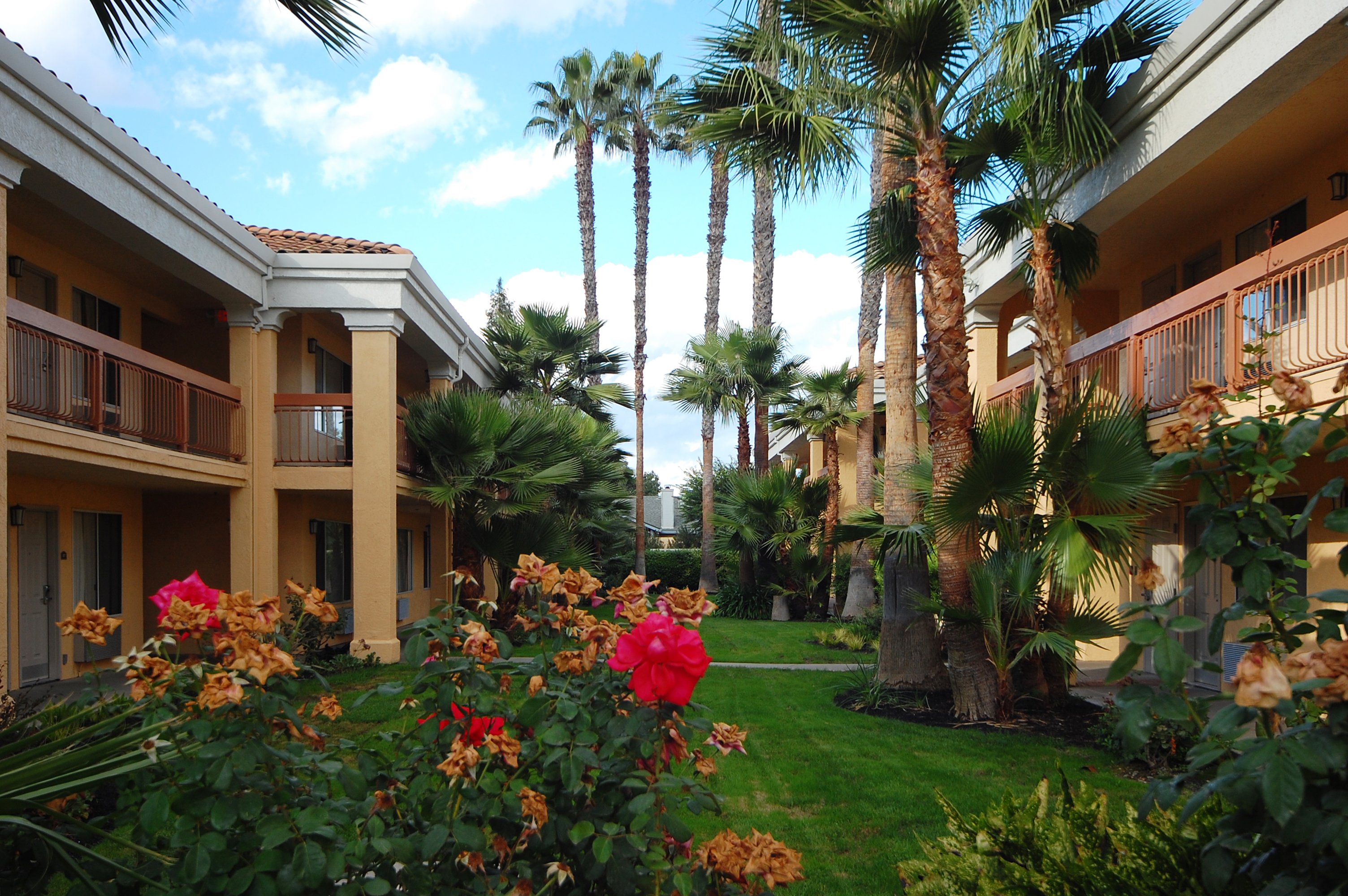 Best Western Palm Court Inn