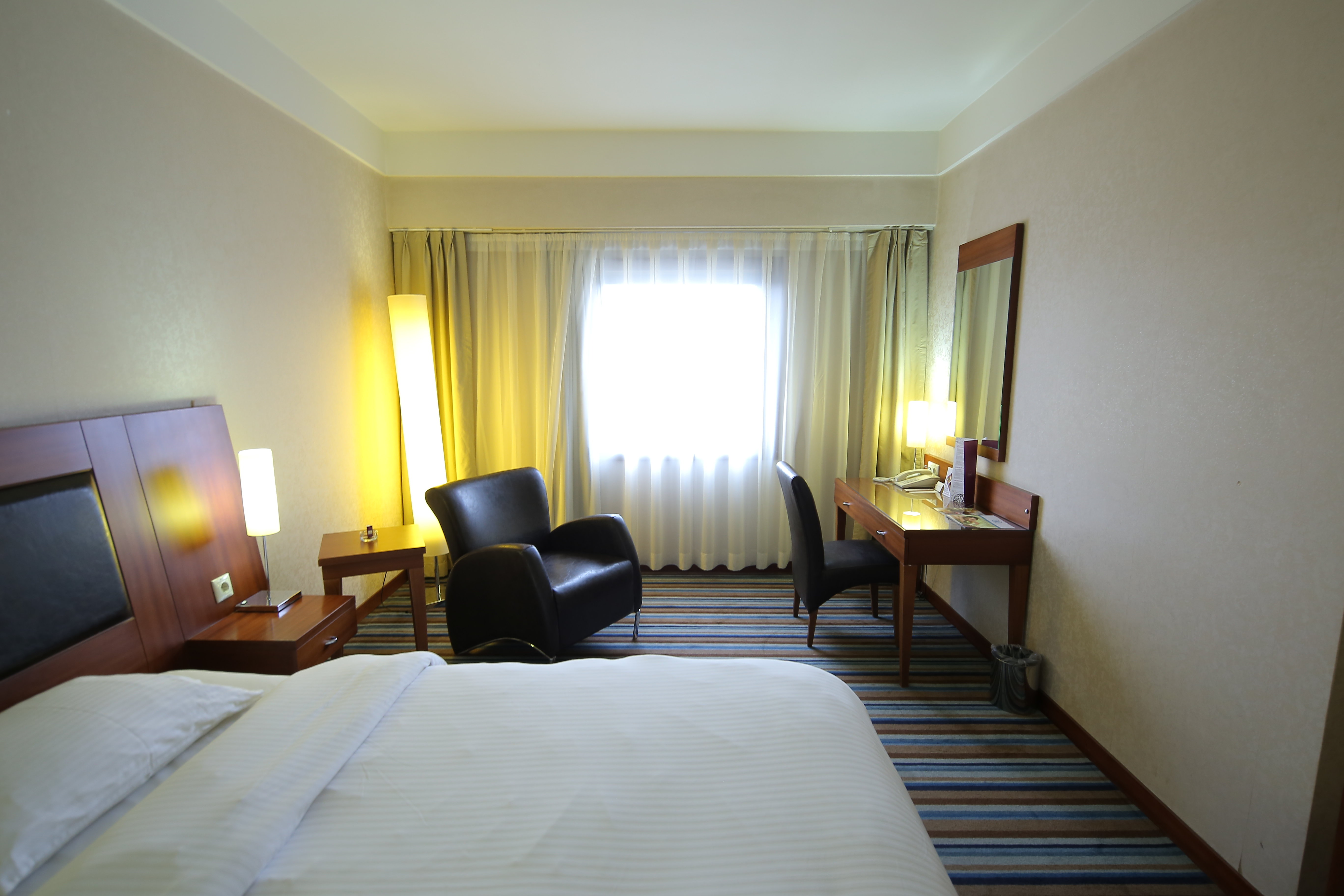 Hotel Anemon Eskisehir