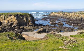 a rocky coastline with a beach and ocean in the background , under a clear blue sky at Seabird Lodge Fort Bragg