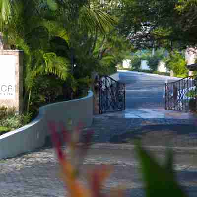 Garza Blanca Preserve Resort & Spa Hotel Exterior