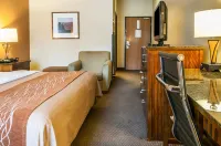 Comfort Inn & Suites Midtown Hotels in Ruidoso