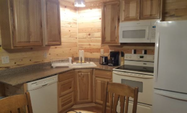 Wild Skies Cabin Rentals in Craig - Housity