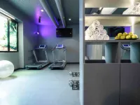 Ibis Milano Centro - Gym