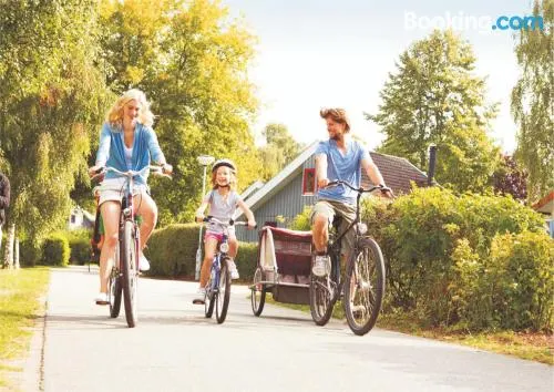 米羅費萊恩假日公園