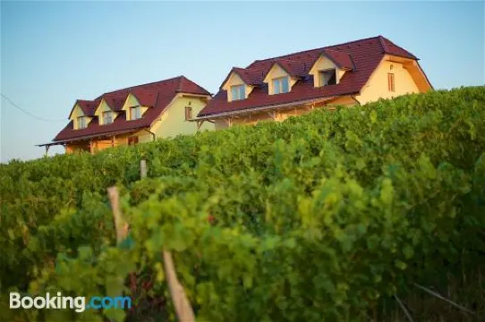 圖裡斯提察那柯美提亞洛夫雷克公寓