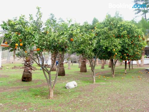 Nature Village Olympos