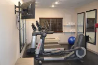 Country Inn & Suites by Radisson, Fairview Heights, IL - salle de sport