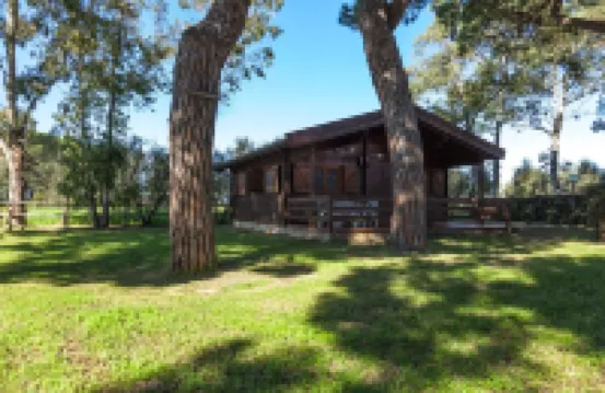 Residence la Canova II