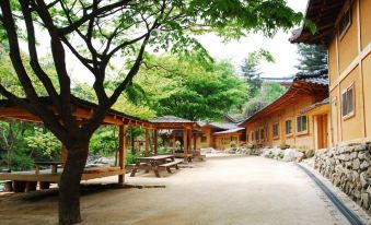 Gapyeong Dume Mountain Pension