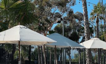 Le Petit Pali Laguna Beach
