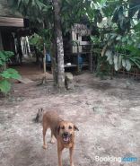 Casa do Xingú
