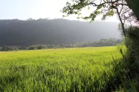 Xotic Resort Hotels in Galagedara