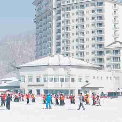 엘리시안 강촌 리조트 Hotel Exterior