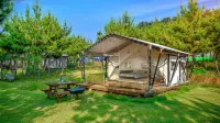 Seocheon Paintree Glamping Hotels in Seocheon-gun