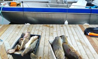 a fishing boat is docked in the water , with a box of fish on the deck and another box containing more fish at Helgeland