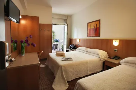 Hotel Principe di Piemonte Отели в г. Римини