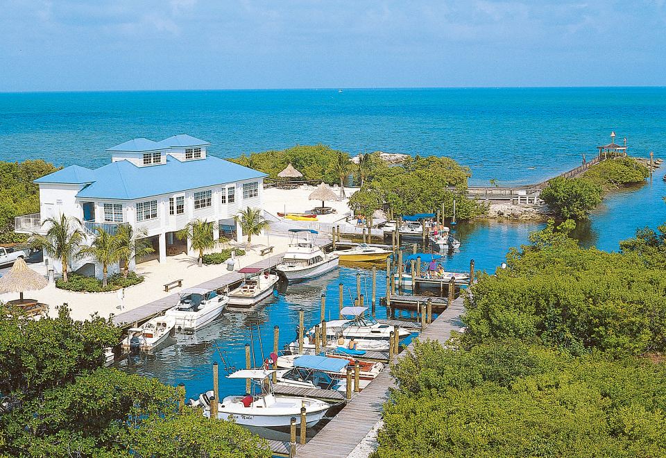 a marina with multiple boats docked in the water , surrounded by buildings and trees , overlooking the ocean at Mangroves