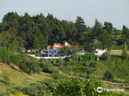 Aires da Serra Hotel Отели в г. Golega