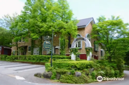 Country Hotel Red Fox - 3-Star