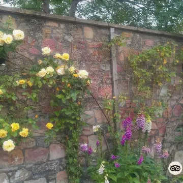 The Queens Head Hotel