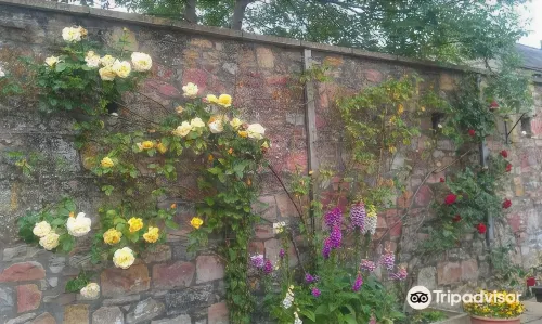 The Queens Head Hotel