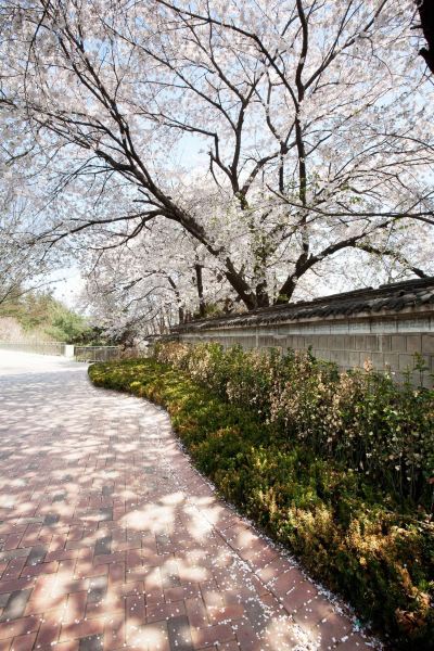 ホテル周辺 グランド ハイアット ソウルの写真