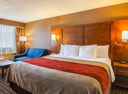 Comfort Inn Springfield