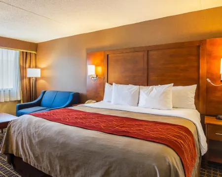 コンフォート イン スプリングフィールド スプリングフィールドのホテル