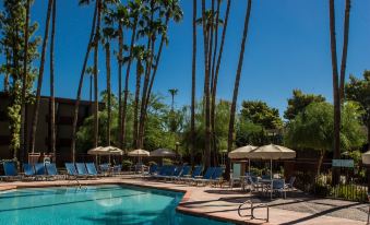 a resort with a large outdoor pool surrounded by palm trees , lounge chairs , and umbrellas at DoubleTree by Hilton Phoenix Tempe