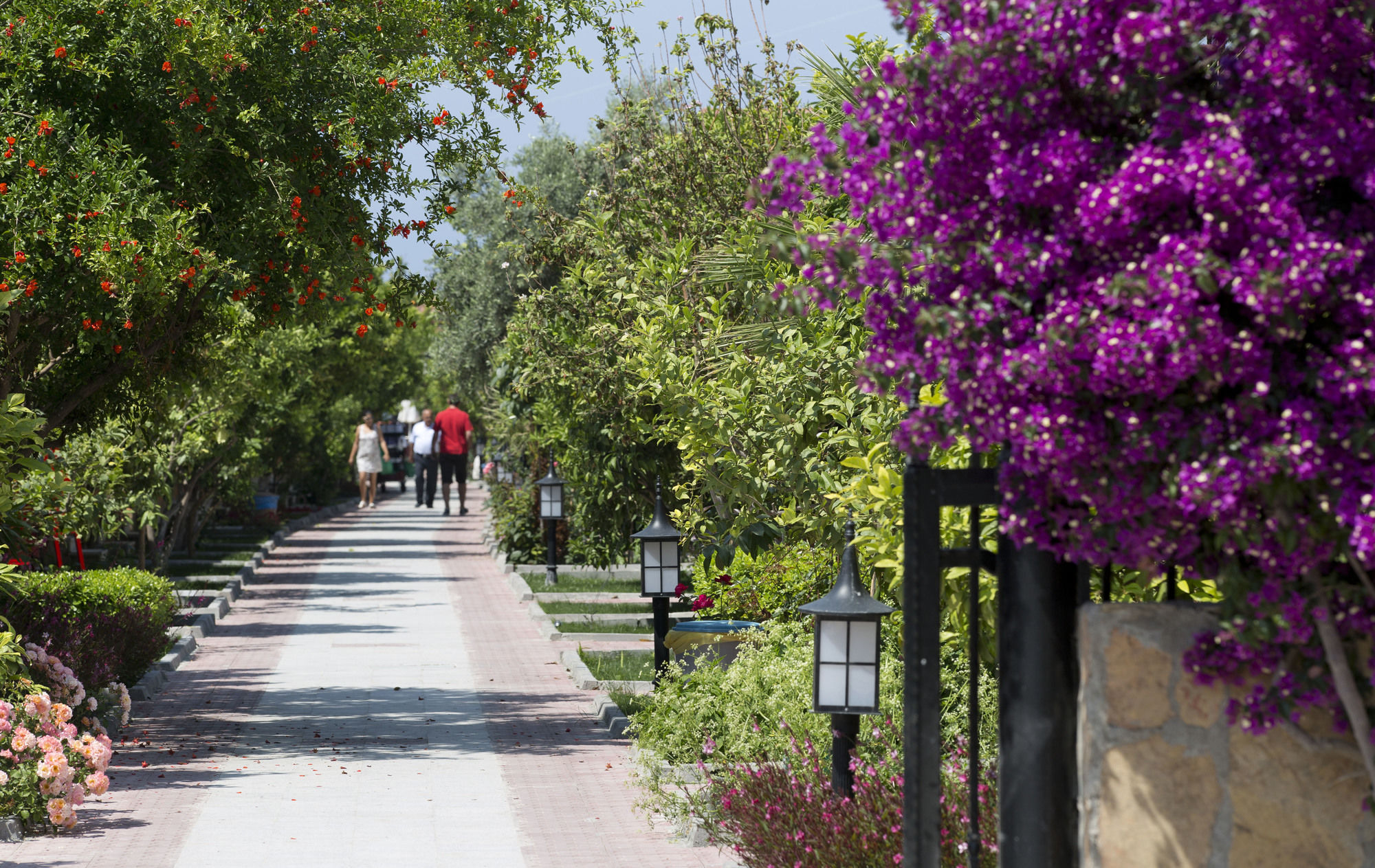 Ozlem Garden Hotel