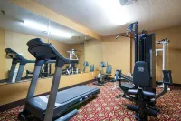 佩裏國家博覽會場區舒適套房酒店 - 健身室/gym room