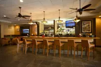 Thesis Miami Coral Gables Curio Collection Hilton